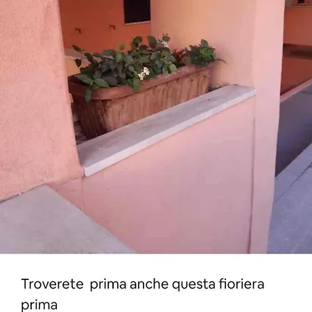 La Poltrona Di Ginepro